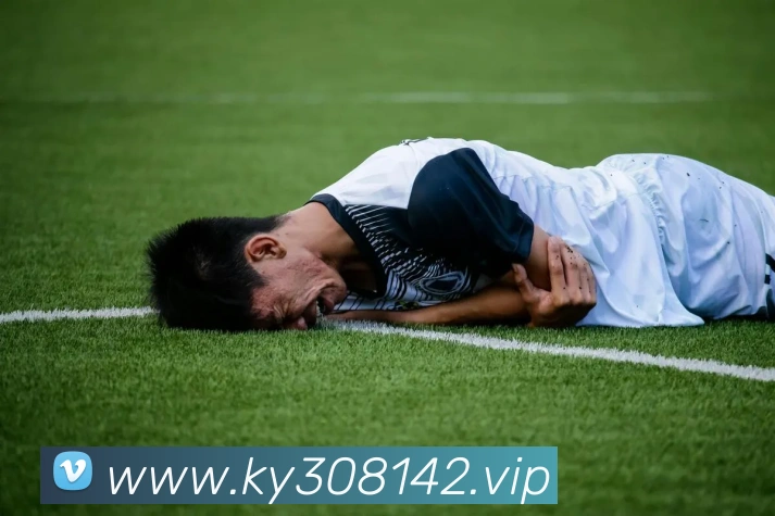开元棋牌平台生态图